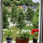 Apartment En Sotrondio